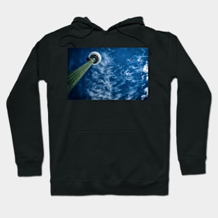 Light and Flight Hoodie